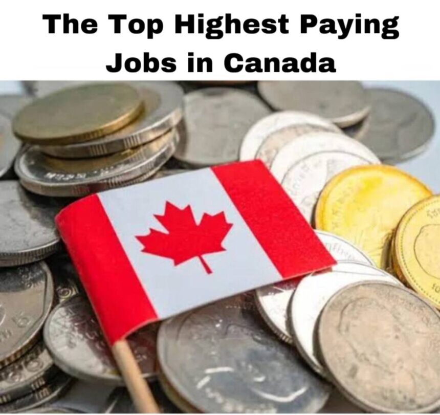 The Top Highest Paying Jobs in Canada in 2025-26