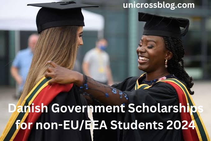 Danish Government Scholarships for non-EU/EEA Students 2024