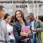 List of Denmark Scholarships Without IELTS in 2024