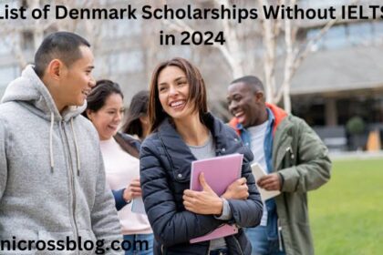 List of Denmark Scholarships Without IELTS in 2024