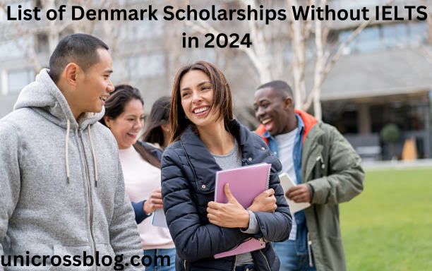 List of Denmark Scholarships Without IELTS in 2024