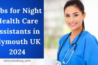 Jobs for Night Health Care Assistants in Plymouth UK 2024