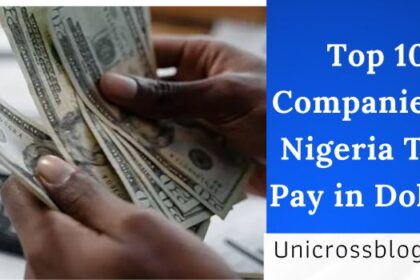 Top 10 Companies in Nigeria That Pay in Dollars