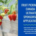 Fruit Picking Jobs in Canada: Visa Sponsorship, Requirements, and Application Guide 2024