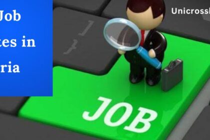 Top Job Websites in Nigeria