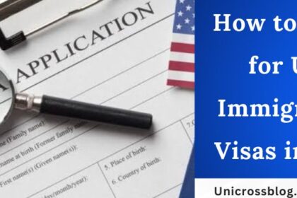 How to Apply for U.S. Immigration Visas in 2024
