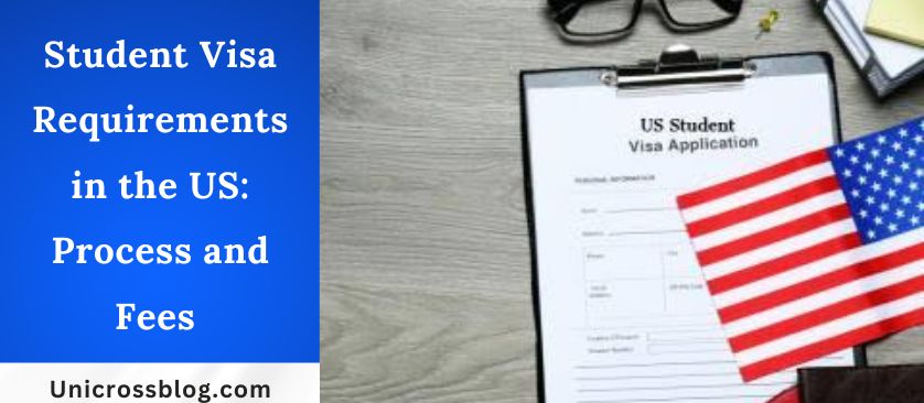 Student Visa Requirements in the US: Process and Fees