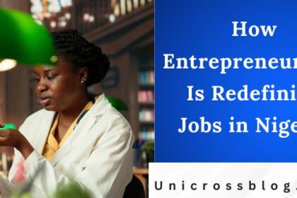 How Entrepreneurship Is Redefining Jobs in Nigeria