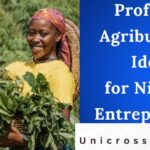 Profitable Agribusiness Ideas for Nigerian Entrepreneurs