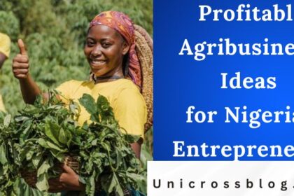 Profitable Agribusiness Ideas for Nigerian Entrepreneurs