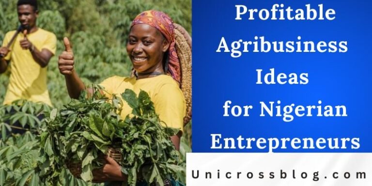 Profitable Agribusiness Ideas for Nigerian Entrepreneurs | UnicrossBlog