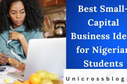 Best Small-Capital Business Ideas for Nigerian Students