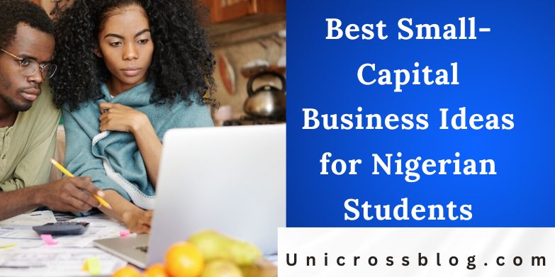 Best Small-Capital Business Ideas for Nigerian Students