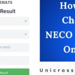 How to Check NECO Results Online