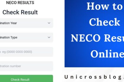 How to Check NECO Results Online