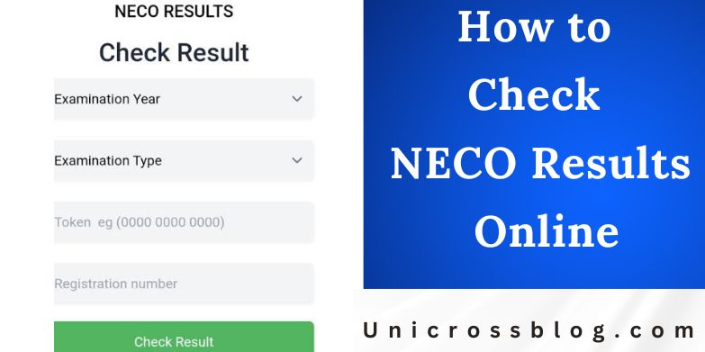 How to Check NECO Results Online
