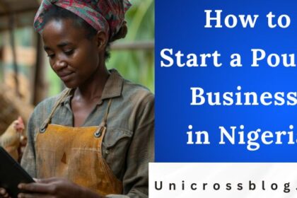 How to Start a Poultry Business in Nigeria