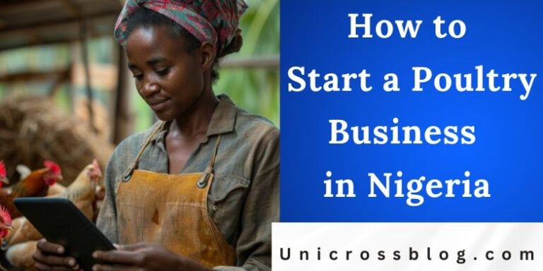 How to Start a Poultry Business in Nigeria | UnicrossBlog