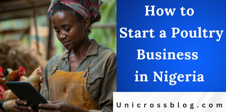How to Start a Poultry Business in Nigeria