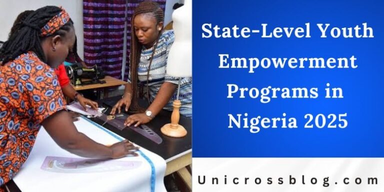 State-Level Youth Empowerment Programs in Nigeria 2025 | UnicrossBlog