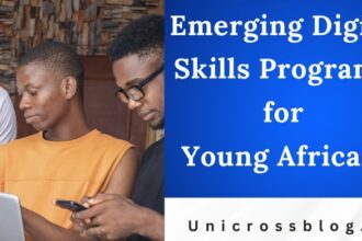Emerging Digital Skills Programs for Young Africans